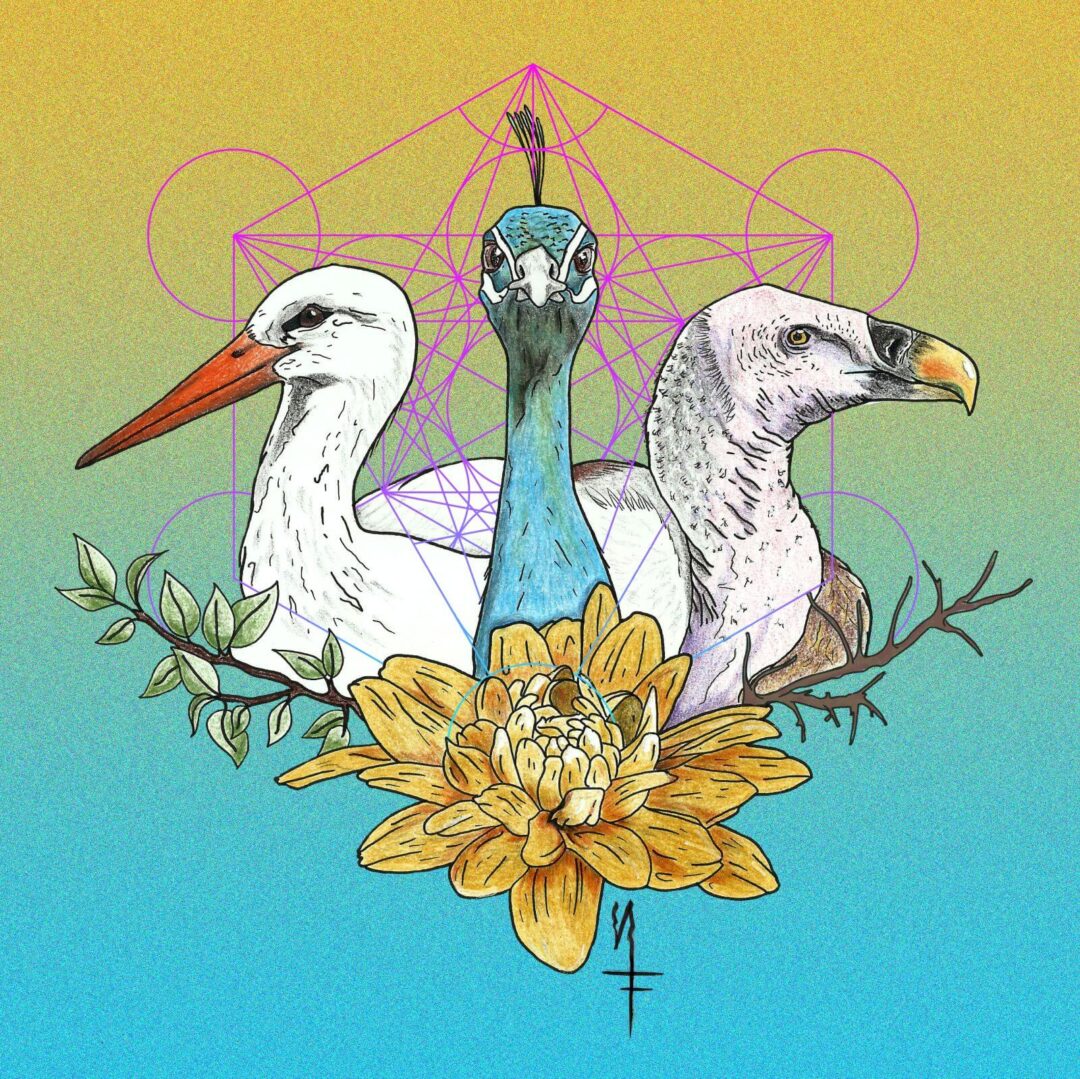 Κανόνας Χρόνου (Canon of Time)