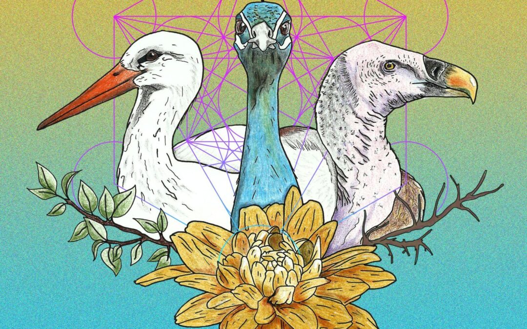 Κανόνας Χρόνου